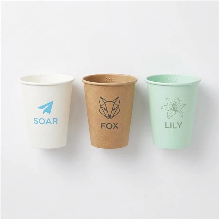 8oz Recyclable Paper Cups best